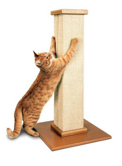 The scratching post outlet cat rescue